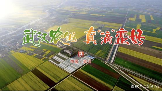 6月15日起,武汉市农产品广告宣传片正式亮相央视,于cctv-13《新闻30分